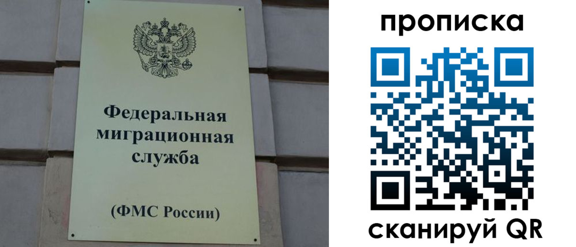 прописка поиск в Смоленске
